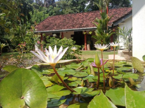 Minu Homestay